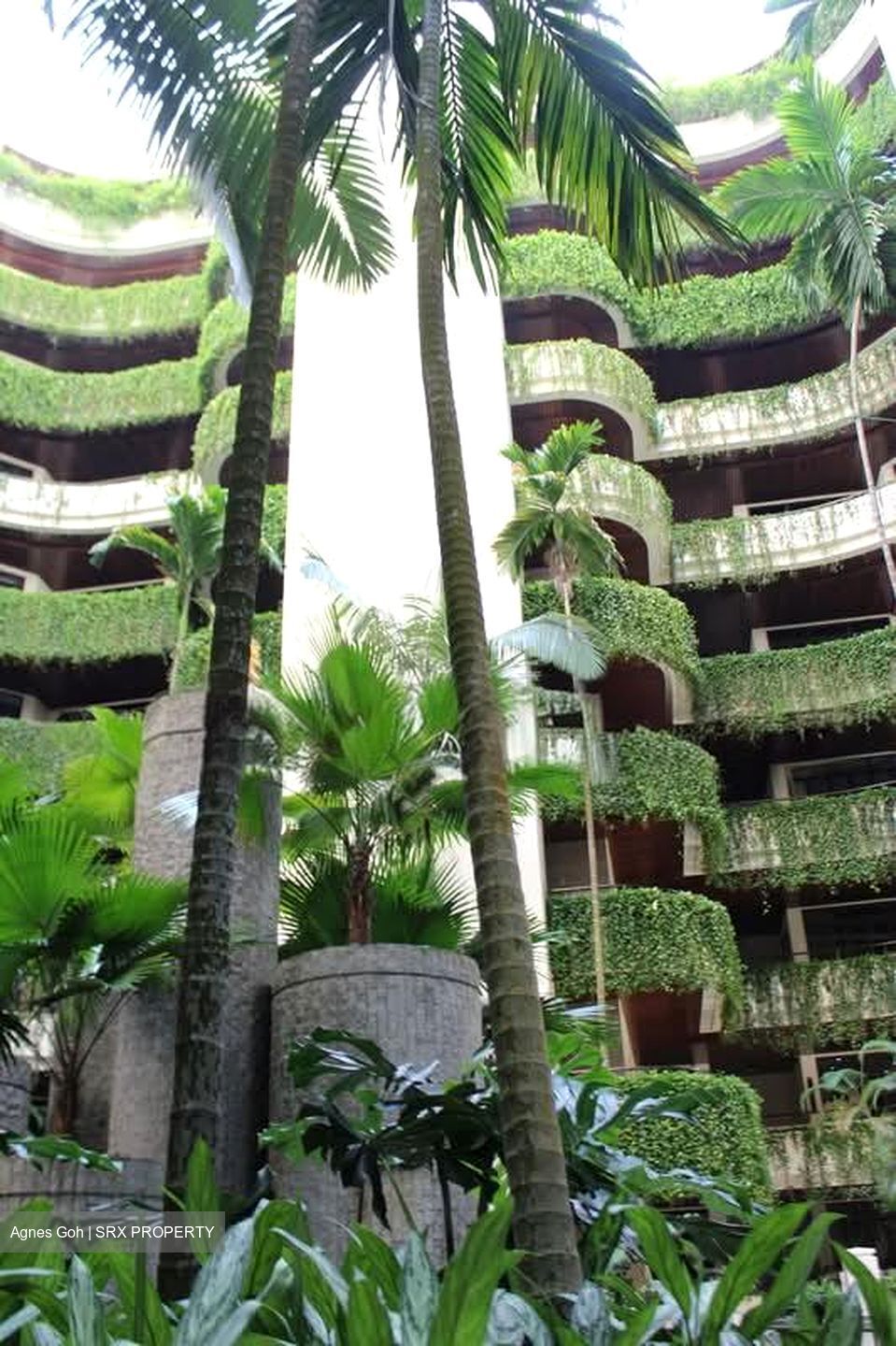 The Arcadia (D11), Condominium #597813841